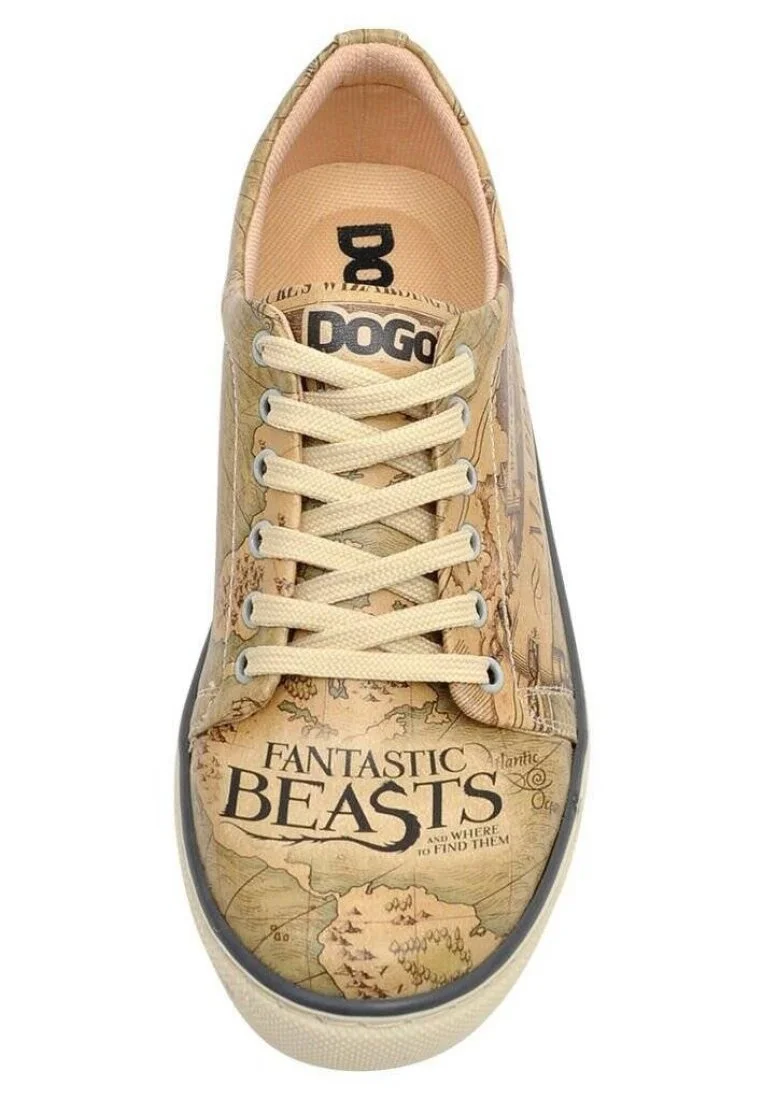 Femme Cuir Vegan Multicolore Baskets - Warner Bros Mappa Mundi Fantastic Beasts Motif